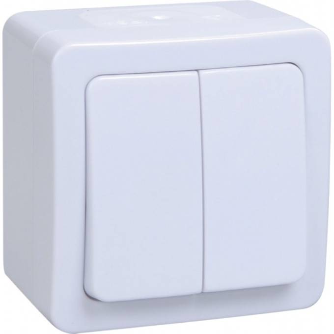 Выключатель 2-клавишный для открытой установки IEK ВС20-2-0-ГПБ IP54 ГЕРМЕС PLUS (цвет клавиши: белый) - EVMP20-K01-10-54-EC